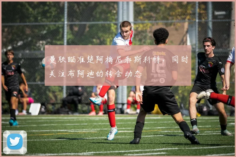 曼联瞄准楚阿梅尼和斯科特，同时关注布阿迪的转会动态